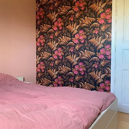 בית אירוח Shared סטוונגר