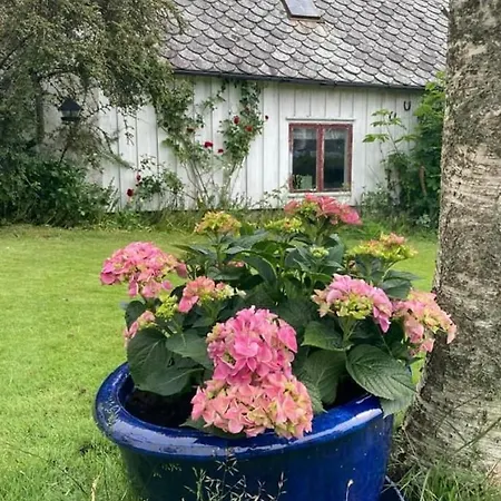 Shared בית אירוח סטוונגר