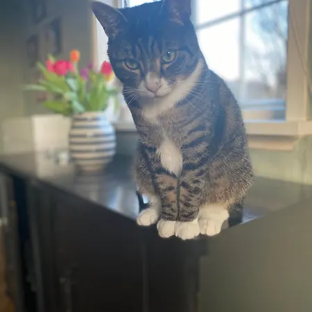 Shared Habitación en casa particular *