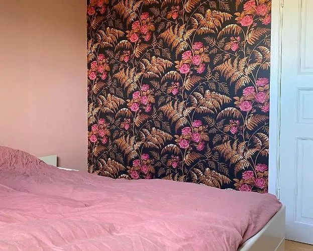 בית אירוח Shared סטוונגר