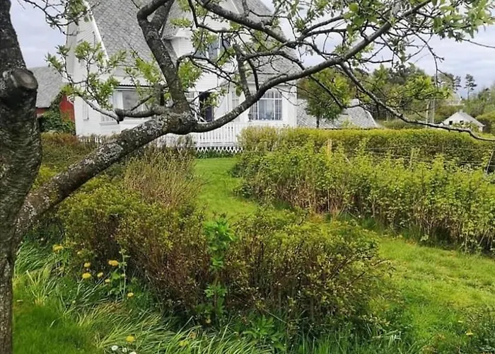 Shared * סטוונגר