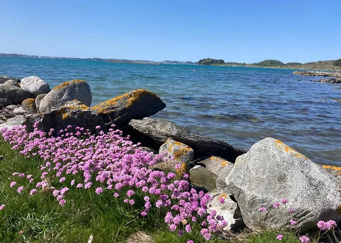 בית אירוח Shared